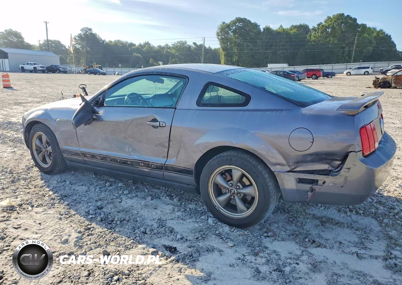 2006 Ford Mustang VIN:1ZVFT80NX65131845 - 2