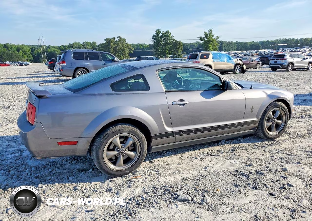 2006 Ford Mustang VIN:1ZVFT80NX65131845 - 3