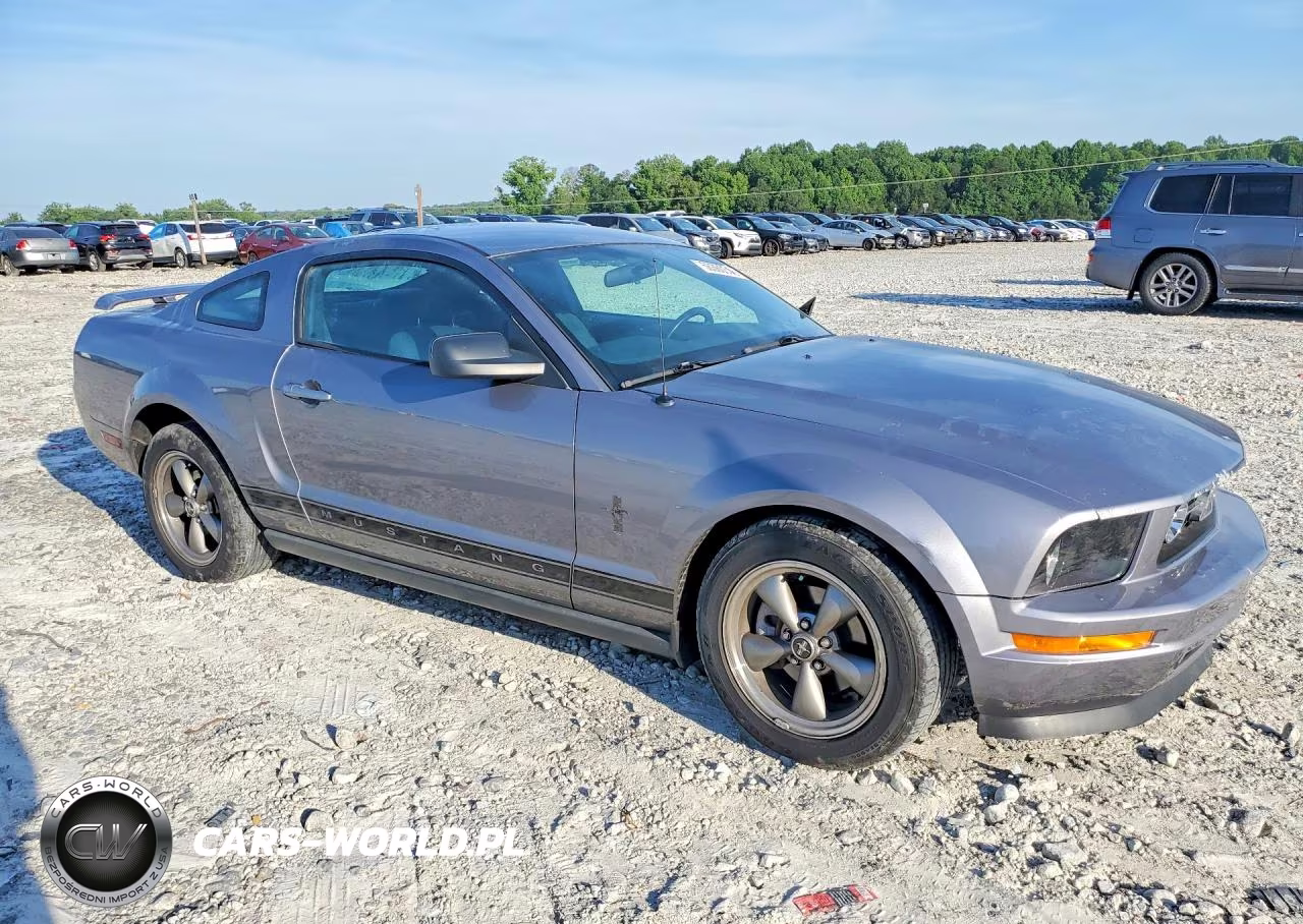 2006 Ford Mustang VIN:1ZVFT80NX65131845 - 4