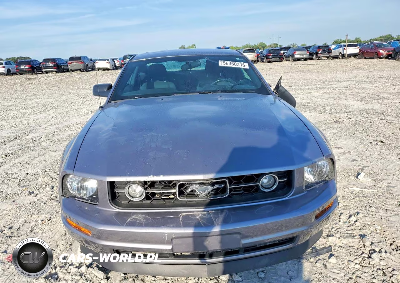 2006 Ford Mustang VIN:1ZVFT80NX65131845 - 5