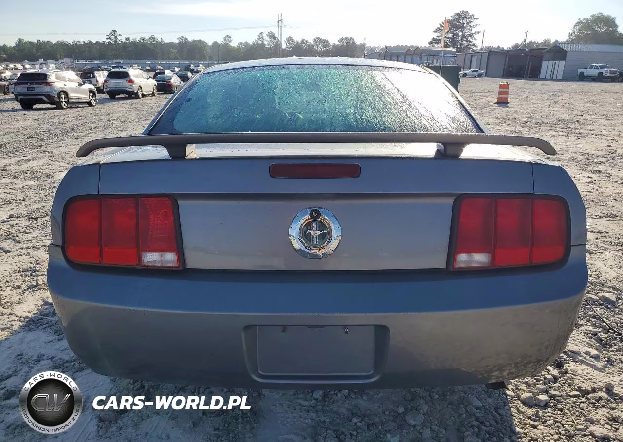 2006 Ford Mustang VIN:1ZVFT80NX65131845 - 6