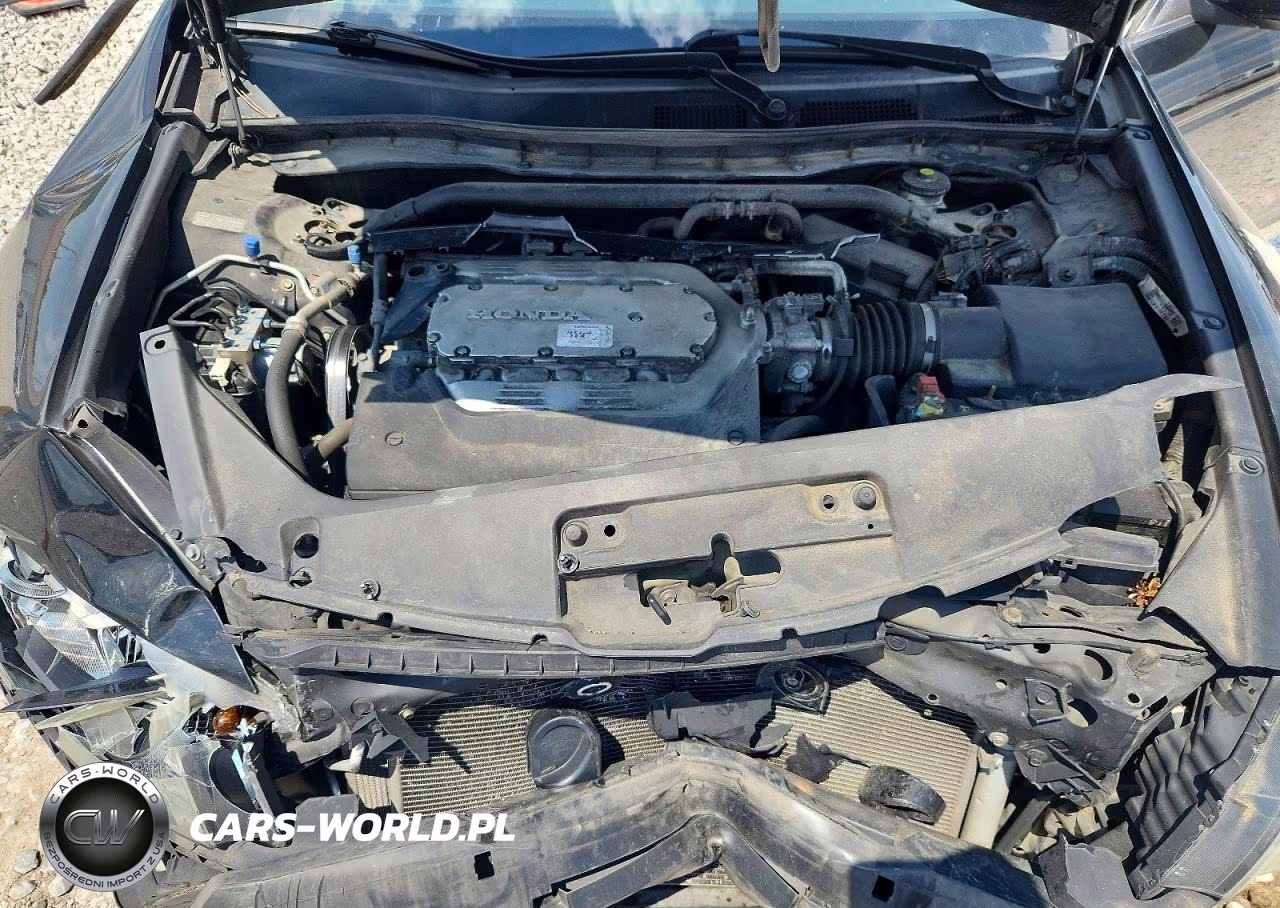2012 Honda Accord Exl VIN:1HGCS2B86CA007332 - 11