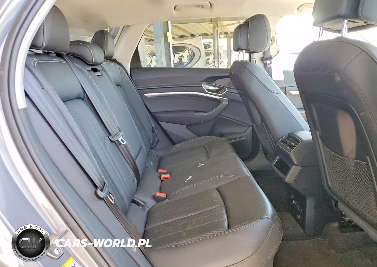 2019 Audi E-Tron Premium Plus VIN:WA1LAAGE4KB005916 - 10