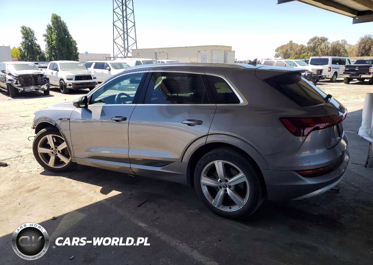 2019 Audi E-Tron Premium Plus VIN:WA1LAAGE4KB005916 - 2