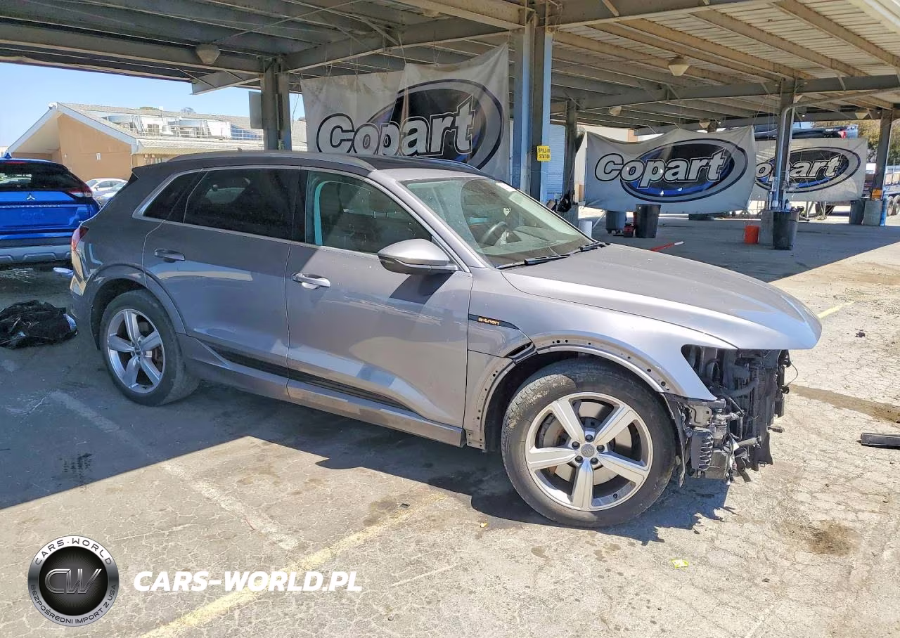 2019 Audi E-Tron Premium Plus VIN:WA1LAAGE4KB005916 - 4