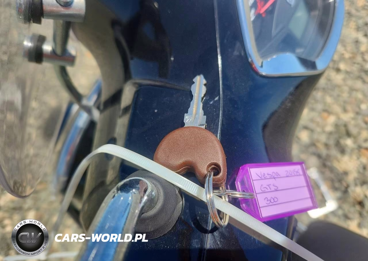 2018 Vespa-Piag Gts 300 VIN:ZAPMA39L4J5200119 - 8