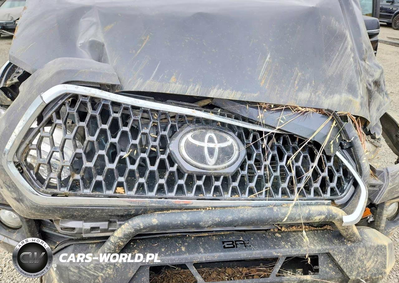 2019 Toyota Tacoma Trd Off-Road VIN:3TMCZ5AN6KM287483 - 11