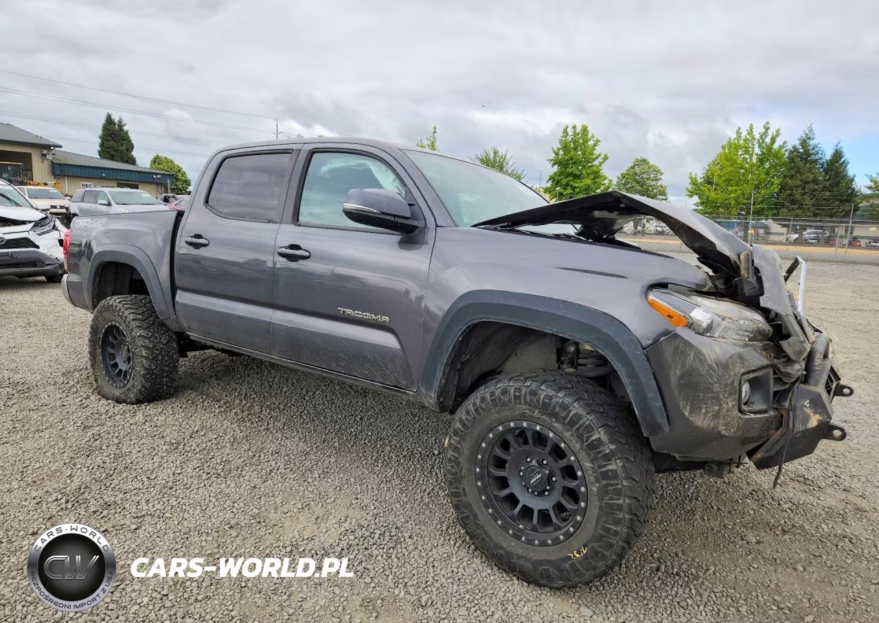 2019 Toyota Tacoma Trd Off-Road VIN:3TMCZ5AN6KM287483 - 4