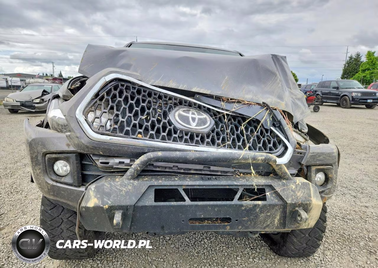 2019 Toyota Tacoma Trd Off-Road VIN:3TMCZ5AN6KM287483 - 5