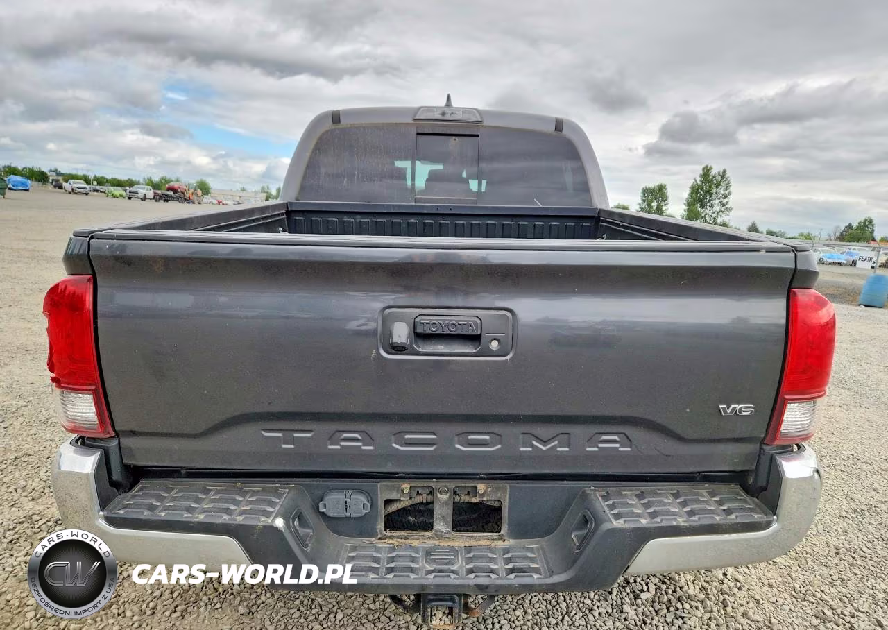 2019 Toyota Tacoma Trd Off-Road VIN:3TMCZ5AN6KM287483 - 6