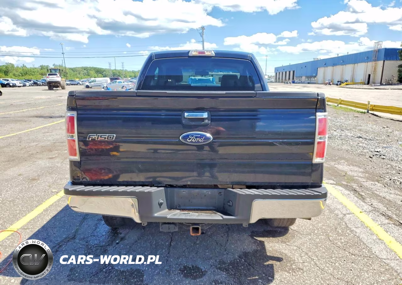 2009 Ford F150 Super Cab VIN:1FTRX14849FA39645 - 6