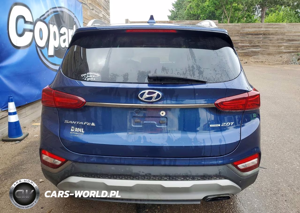 2020 Hyundai Santa Fe Limited 2.0T VIN:5NMS5CAA4LH304231 - 6