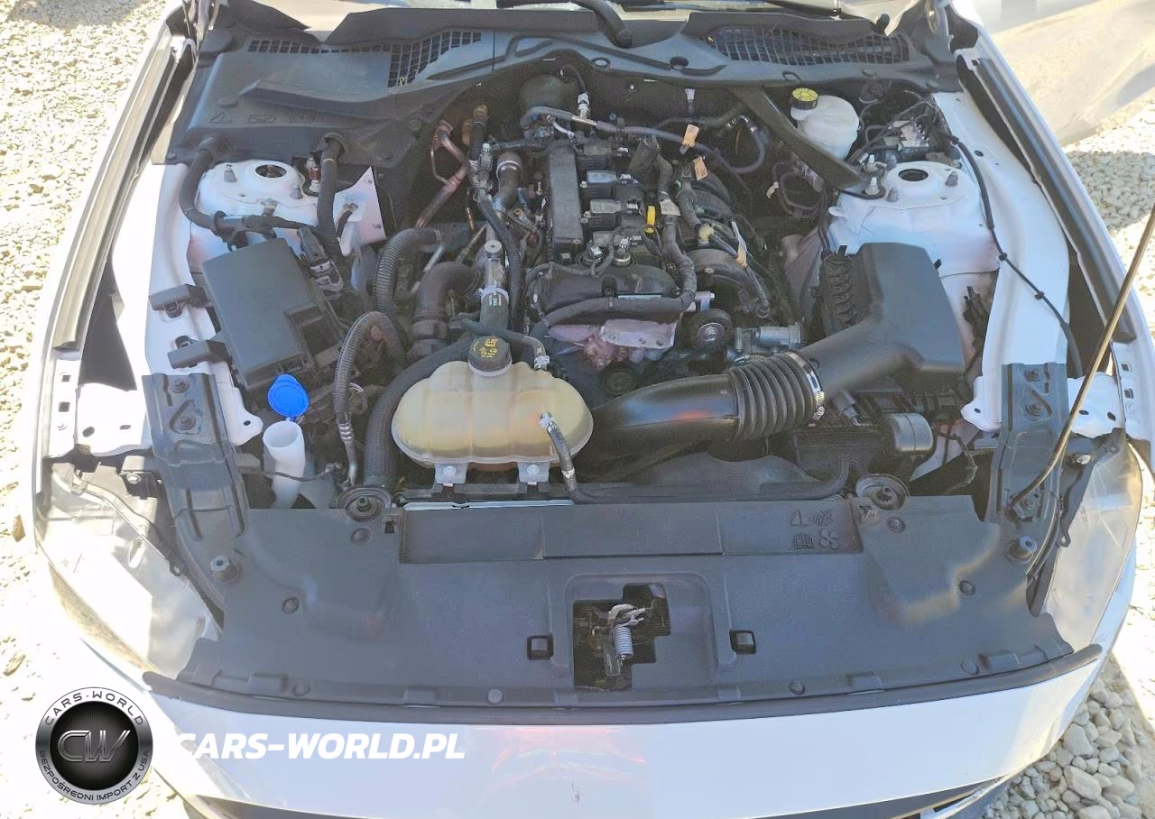 2022 Ford Mustang VIN:1FATP8UH7N5124192 - 11