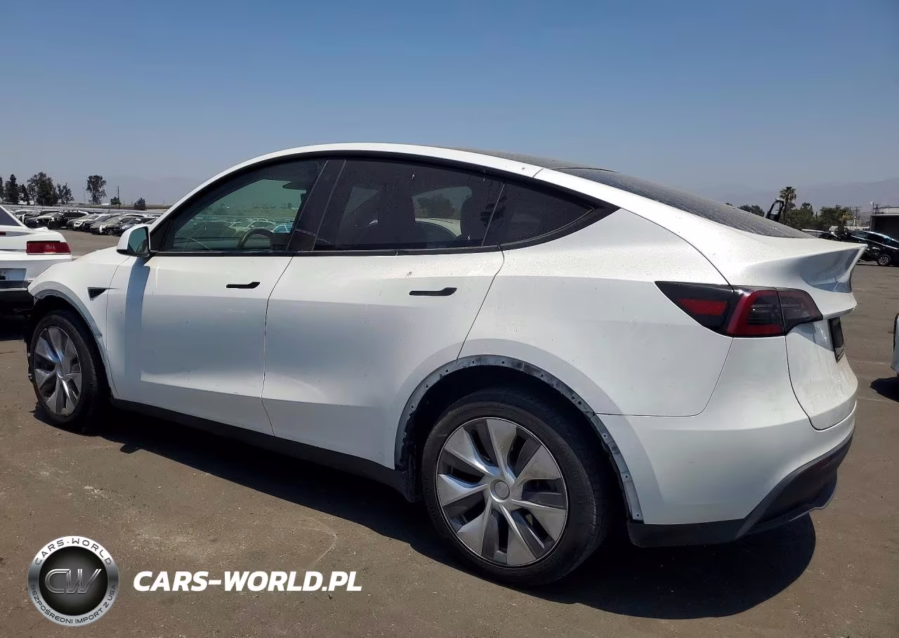 2023 Tesla Model Y VIN:7SAYGDEE8PA066222 - 2