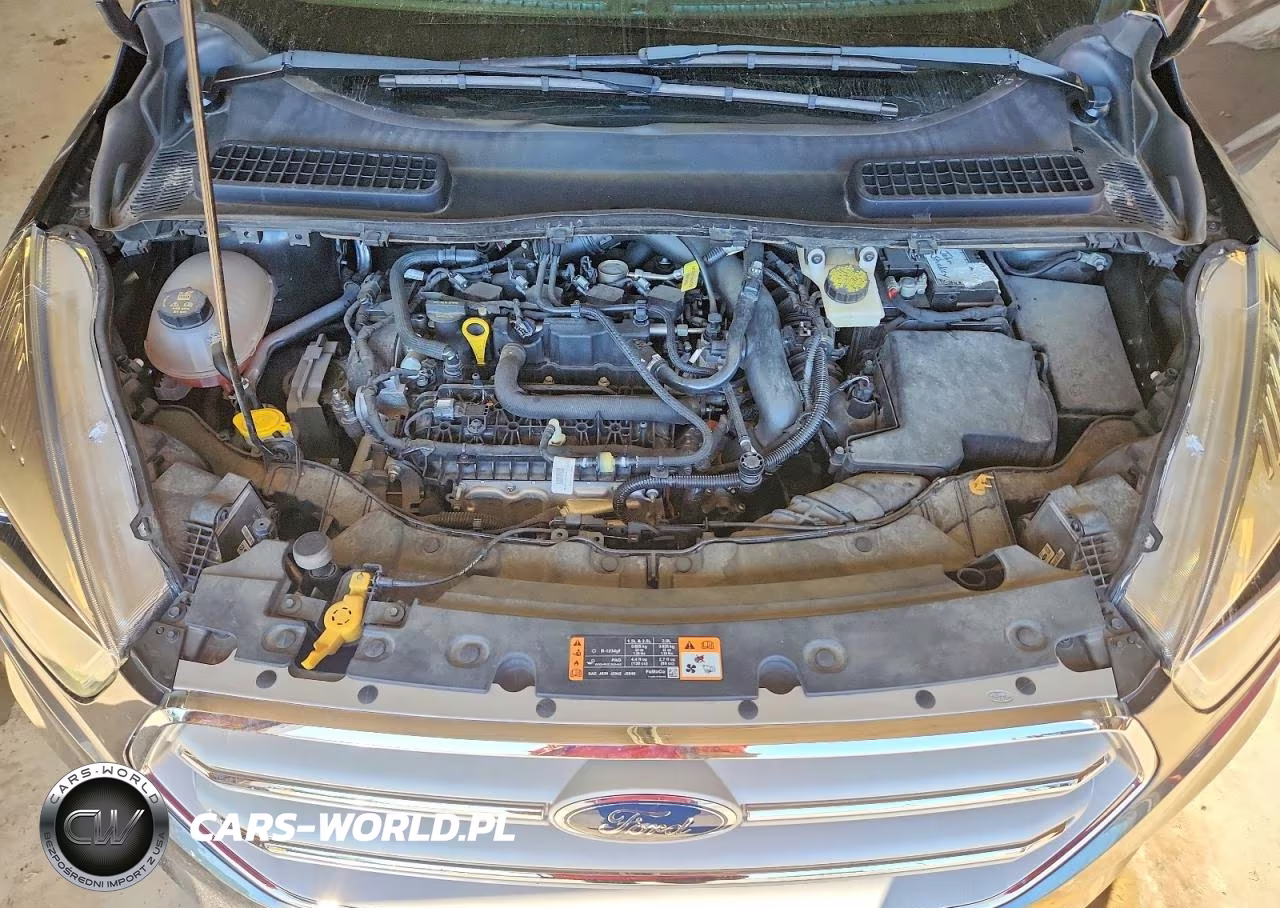 2019 Ford Escape Sel VIN:1FMCU9HD0KUB98910 - 12