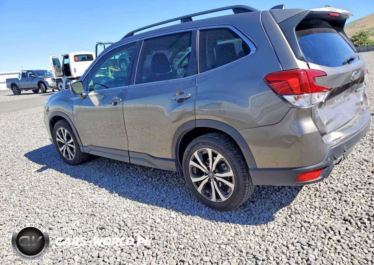 2019 Subaru Forester Limited VIN:JF2SKAUC5KH405354 - 2