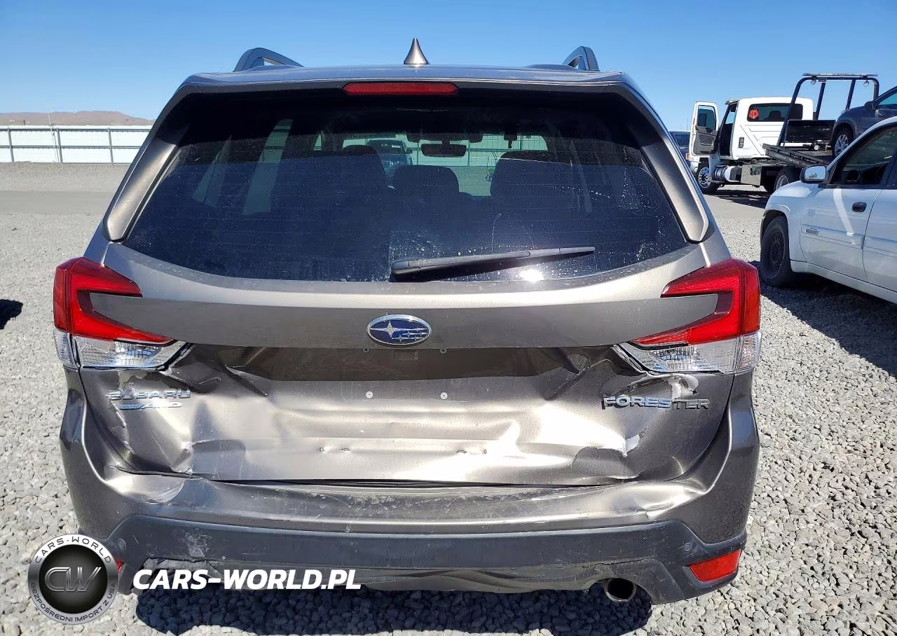 2019 Subaru Forester Limited VIN:JF2SKAUC5KH405354 - 6