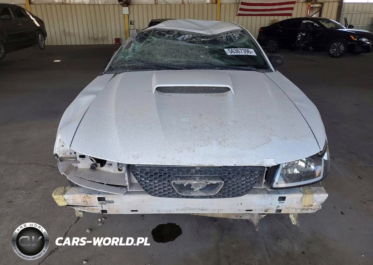 2003 Ford Mustang Gt VIN:1FAFP42X53F347337 - 5