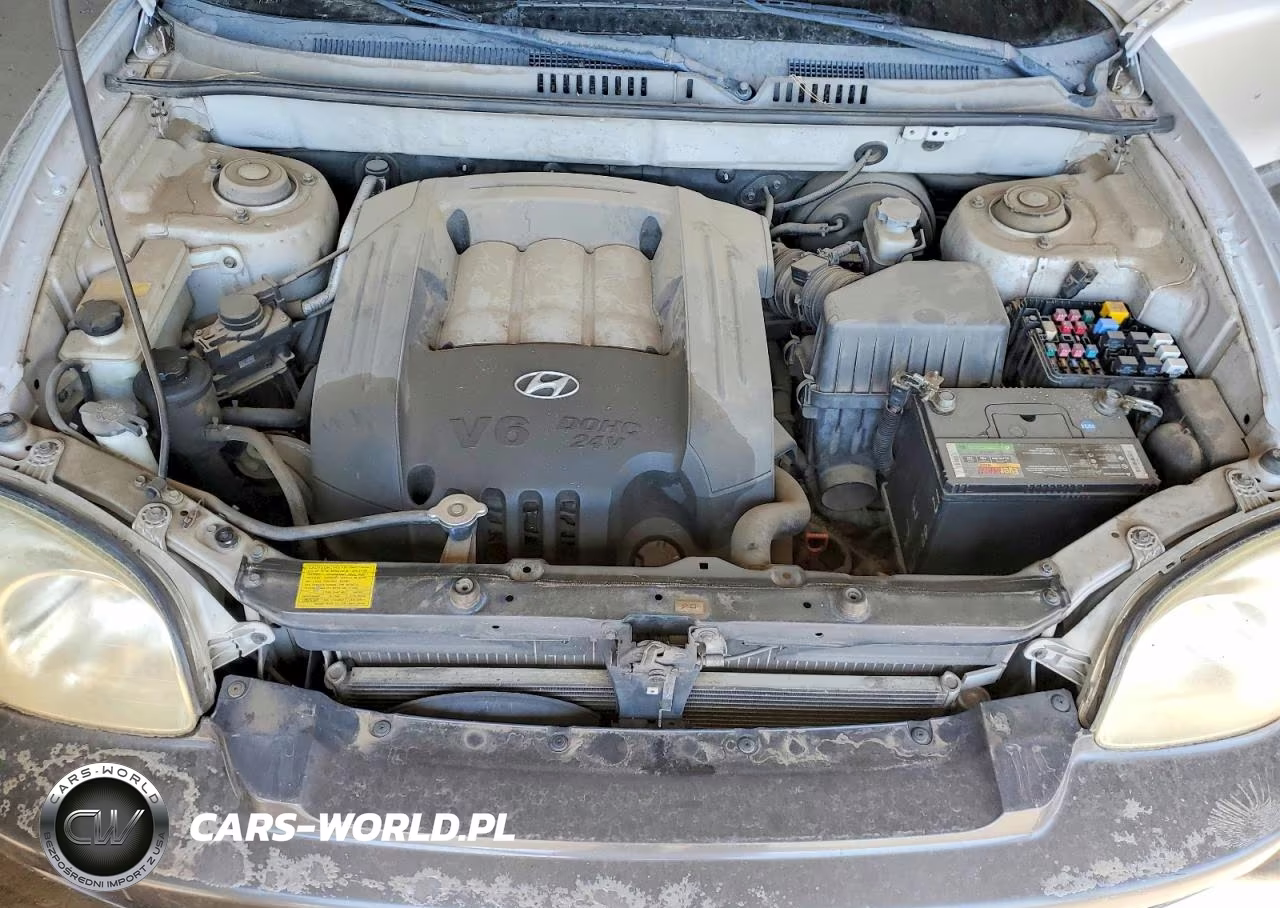 2003 Hyundai Santa Fe Gls VIN:KM8SC13D63U433531 - 11