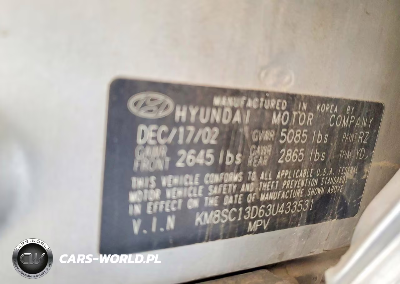 2003 Hyundai Santa Fe Gls VIN:KM8SC13D63U433531 - 12