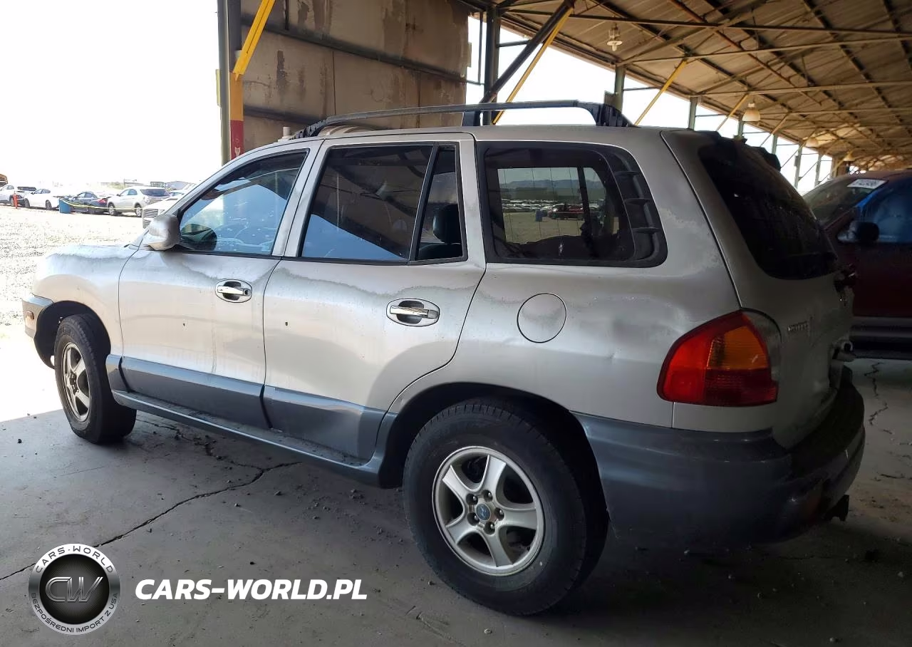 2003 Hyundai Santa Fe Gls VIN:KM8SC13D63U433531 - 2