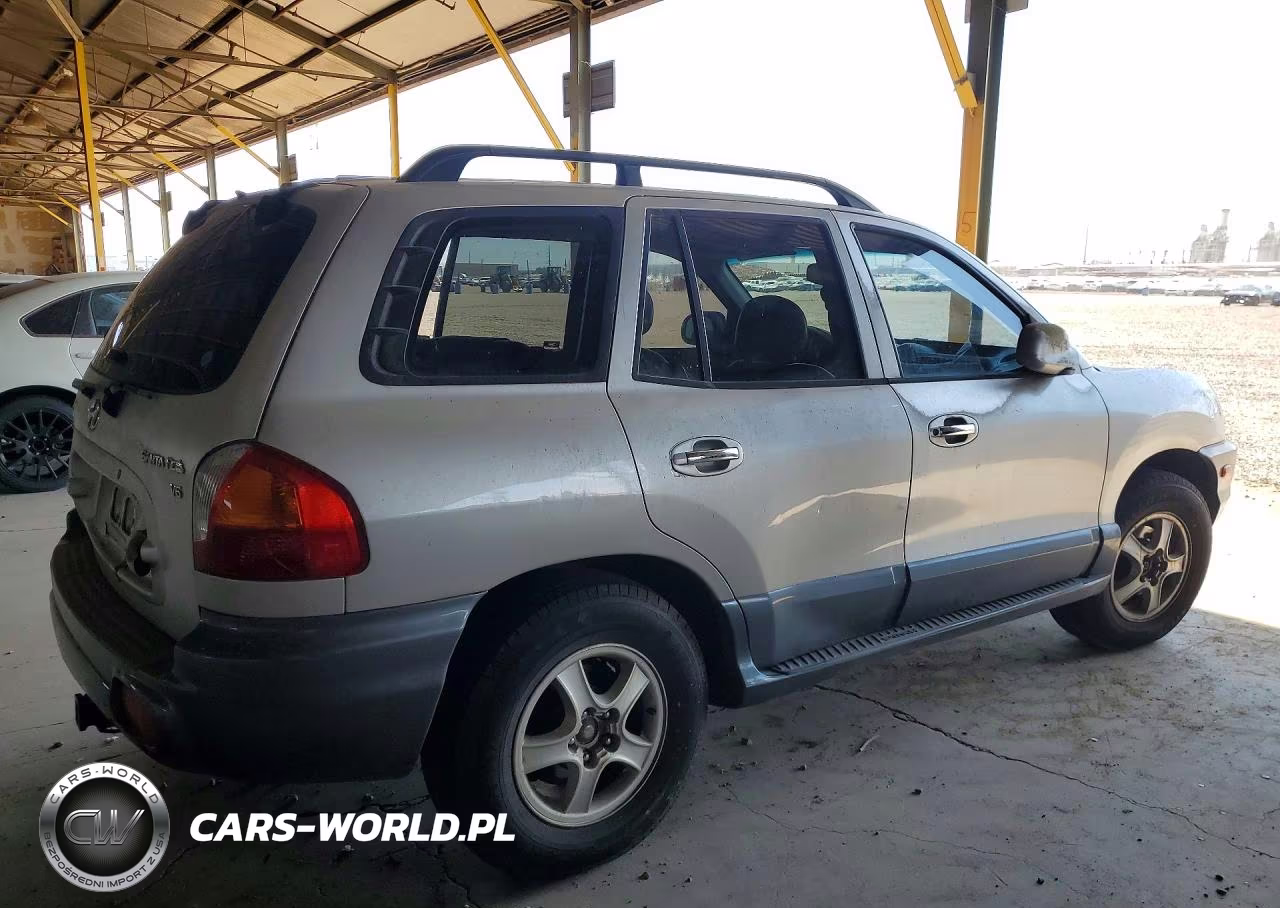 2003 Hyundai Santa Fe Gls VIN:KM8SC13D63U433531 - 3