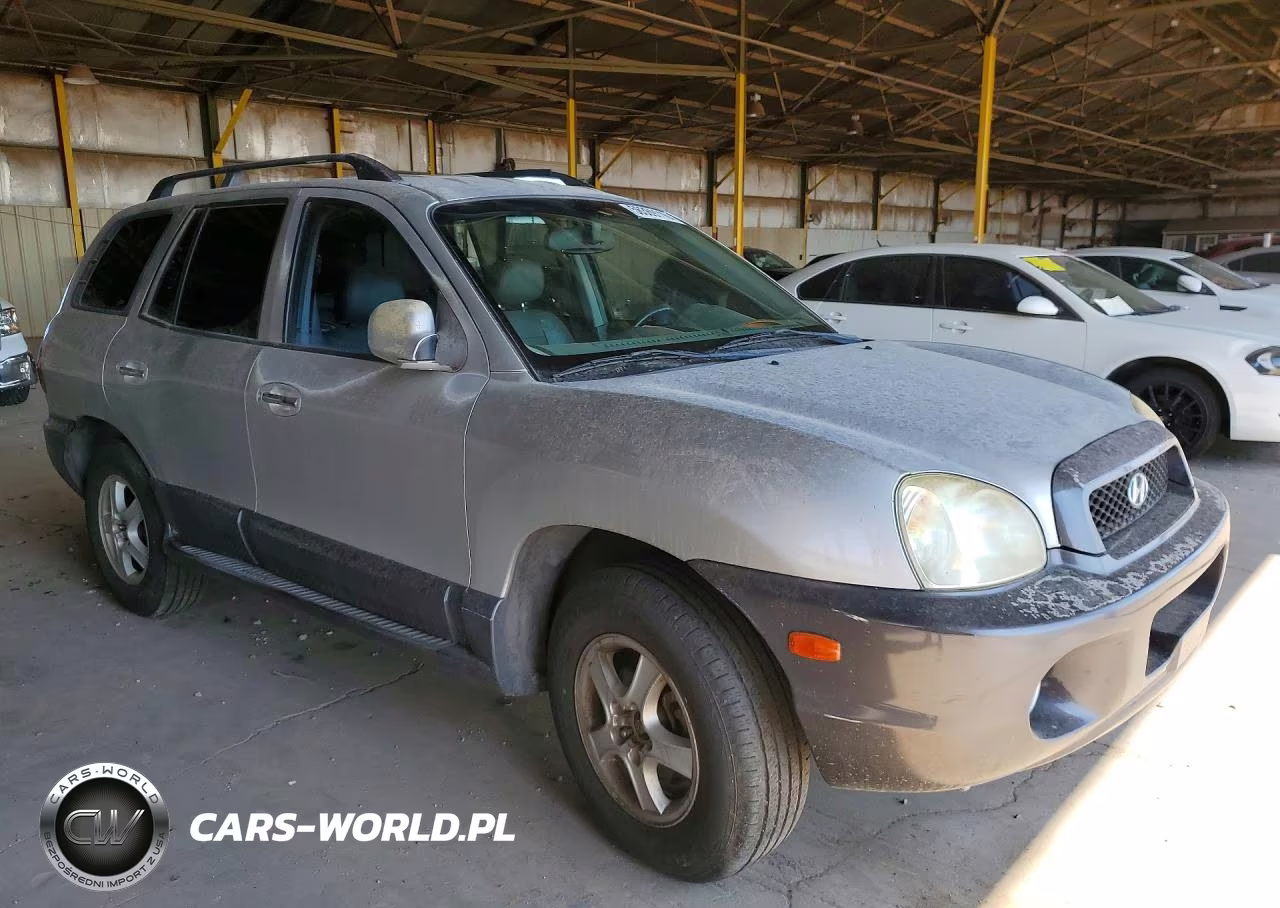 2003 Hyundai Santa Fe Gls VIN:KM8SC13D63U433531 - 4