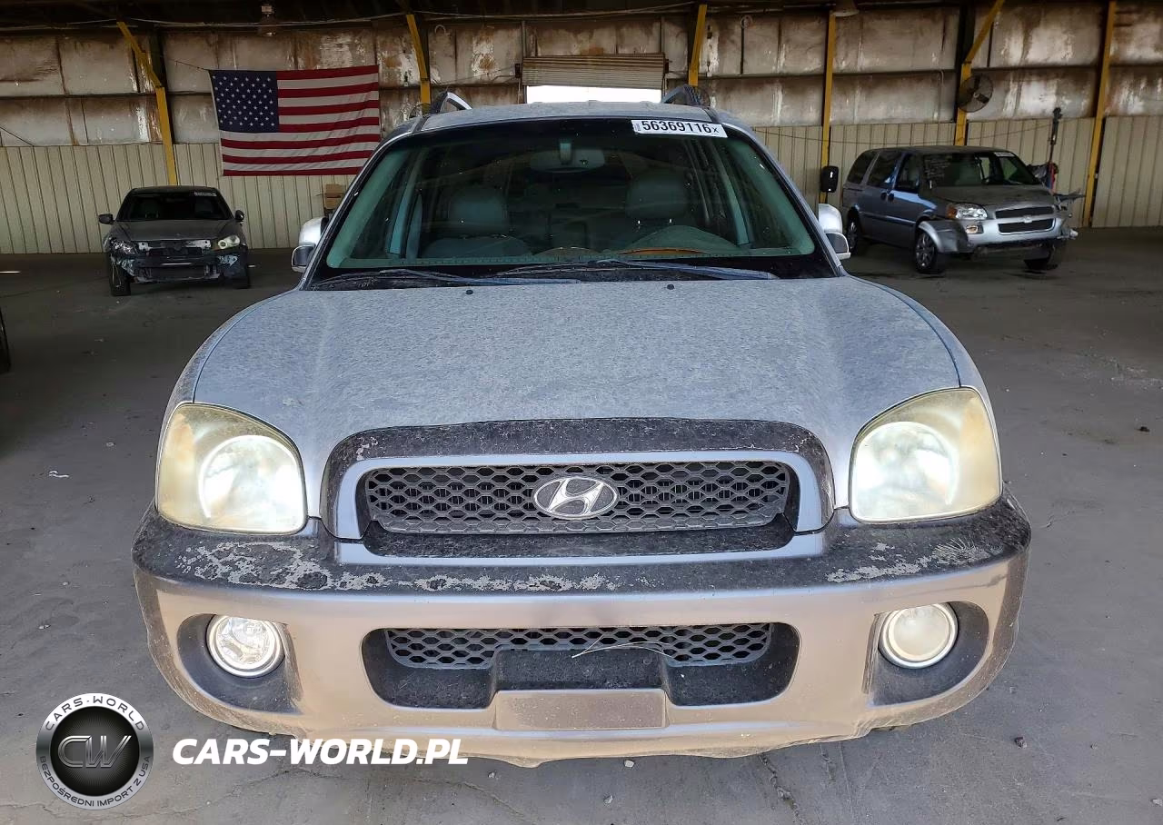 2003 Hyundai Santa Fe Gls VIN:KM8SC13D63U433531 - 5