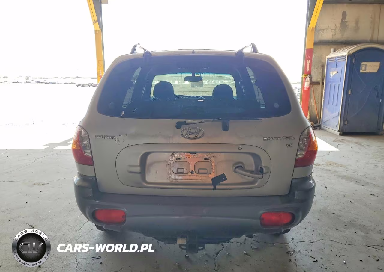2003 Hyundai Santa Fe Gls VIN:KM8SC13D63U433531 - 6