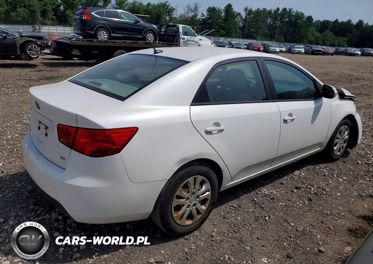 2011 Kia Forte Ex VIN:KNAFU4A25B5885126 - 3
