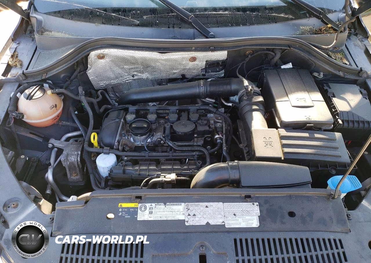 2016 Volkswagen Tiguan S VIN:WVGBV7AX1GW594647 - 11