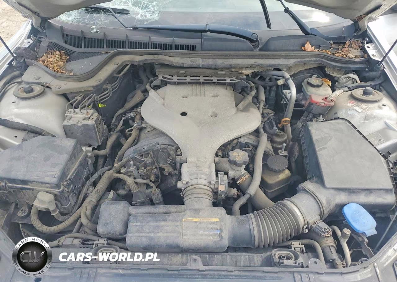 2009 Pontiac G8 VIN:6G2ER57759L238456 - 11