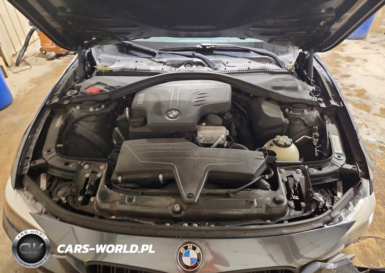 2015 BMW 328 Xi Sulev VIN:WBA3B5G58FNS20582 - 11