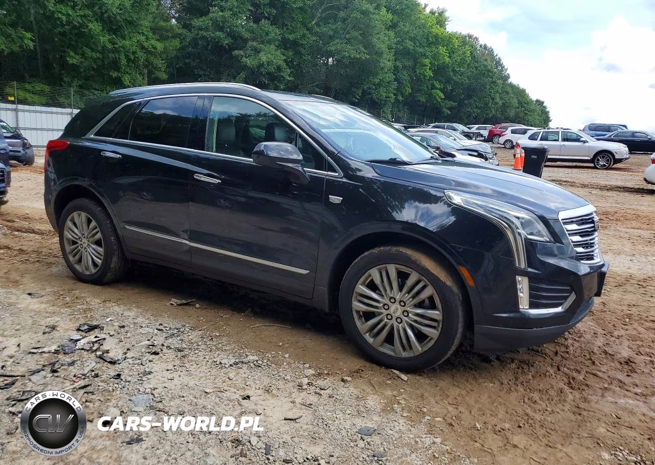 2019 Cadillac Xt5 Premium Luxury VIN:1GYKNERS9KZ217728 - 4