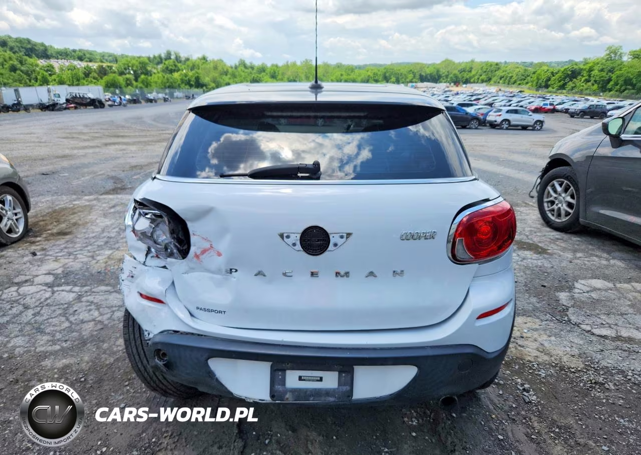 2014 Mini Cooper Paceman VIN:WMWSS1C58EWN94841 - 6