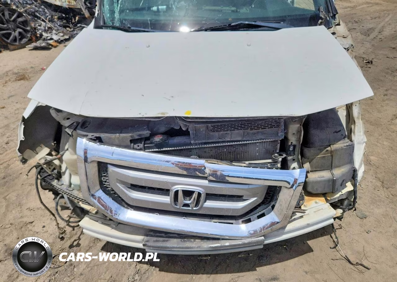 2009 Honda Pilot Ex VIN:5FNYF48479B038856 - 12