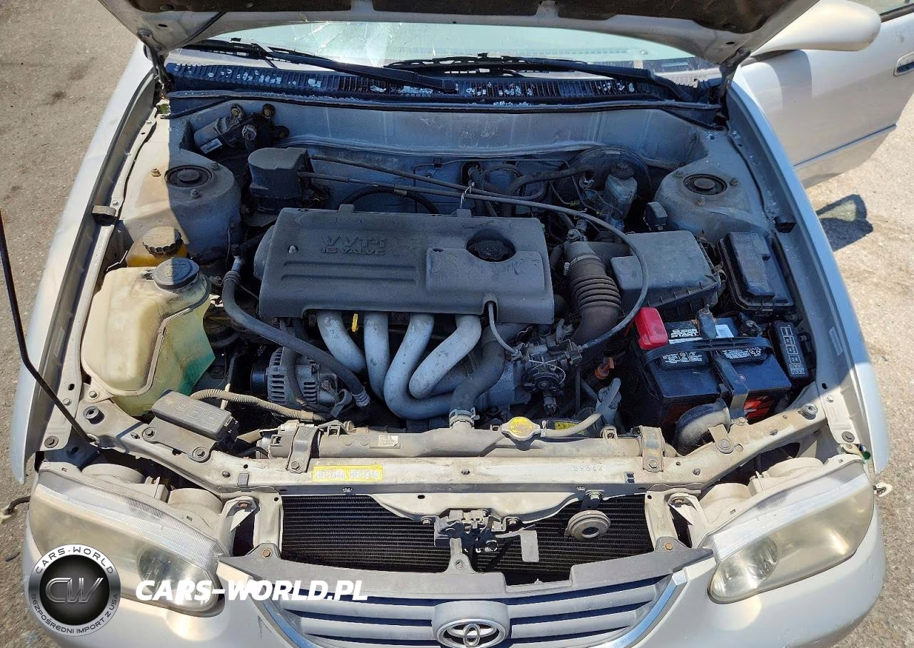 2001 Toyota Corolla Le VIN:1NXBR12E01Z461539 - 11