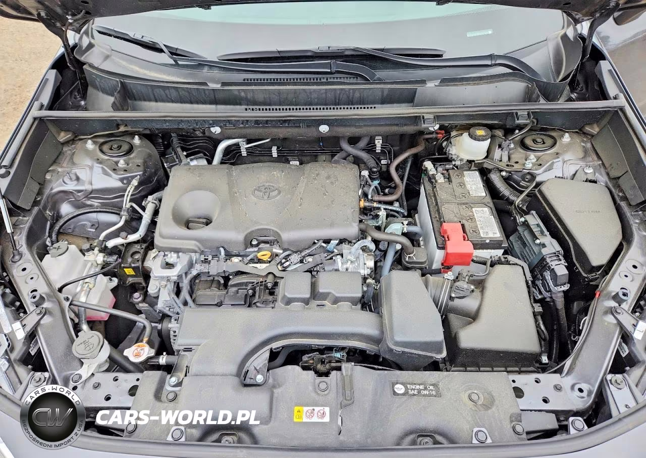 2025 Toyota Rav4 Xle VIN:2T3P1RFV6SW625794 - 12