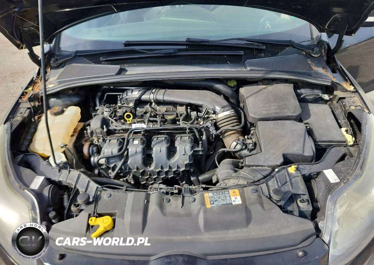 2014 Ford Focus St VIN:1FADP3L94EL403788 - 11