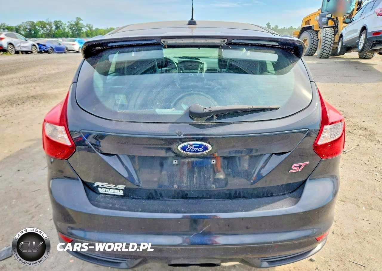 2014 Ford Focus St VIN:1FADP3L94EL403788 - 6