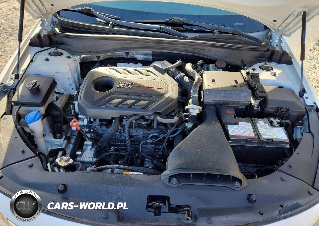 2019 Kia Optima Sxl VIN:5XXGV4L29KG346182 - 11