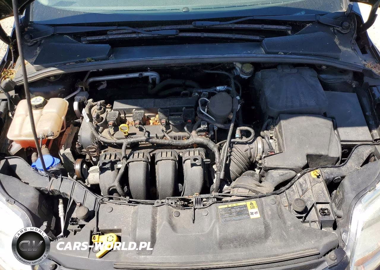 2013 Ford Focus Se VIN:1FADP3F26DL329867 - 11