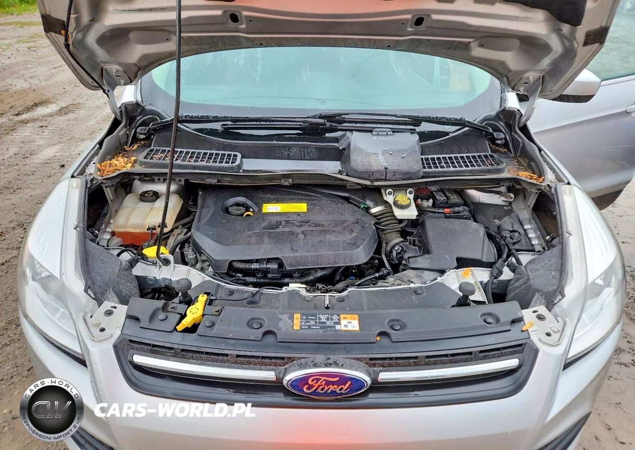 2015 Ford Escape Se VIN:1FMCU9GX4FUB21393 - 12