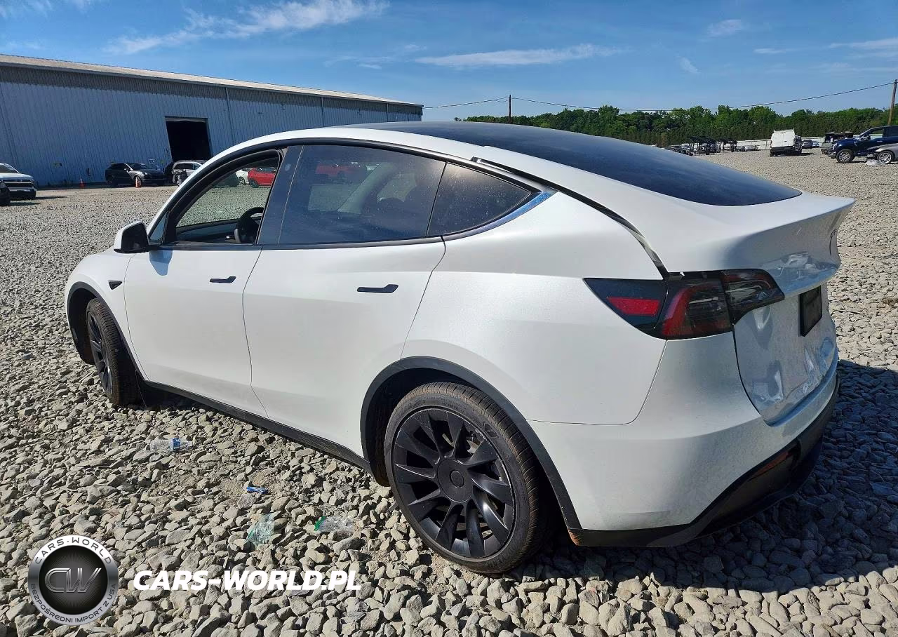2023 Tesla Model Y VIN:7SAYGAEE7PF742600 - 2