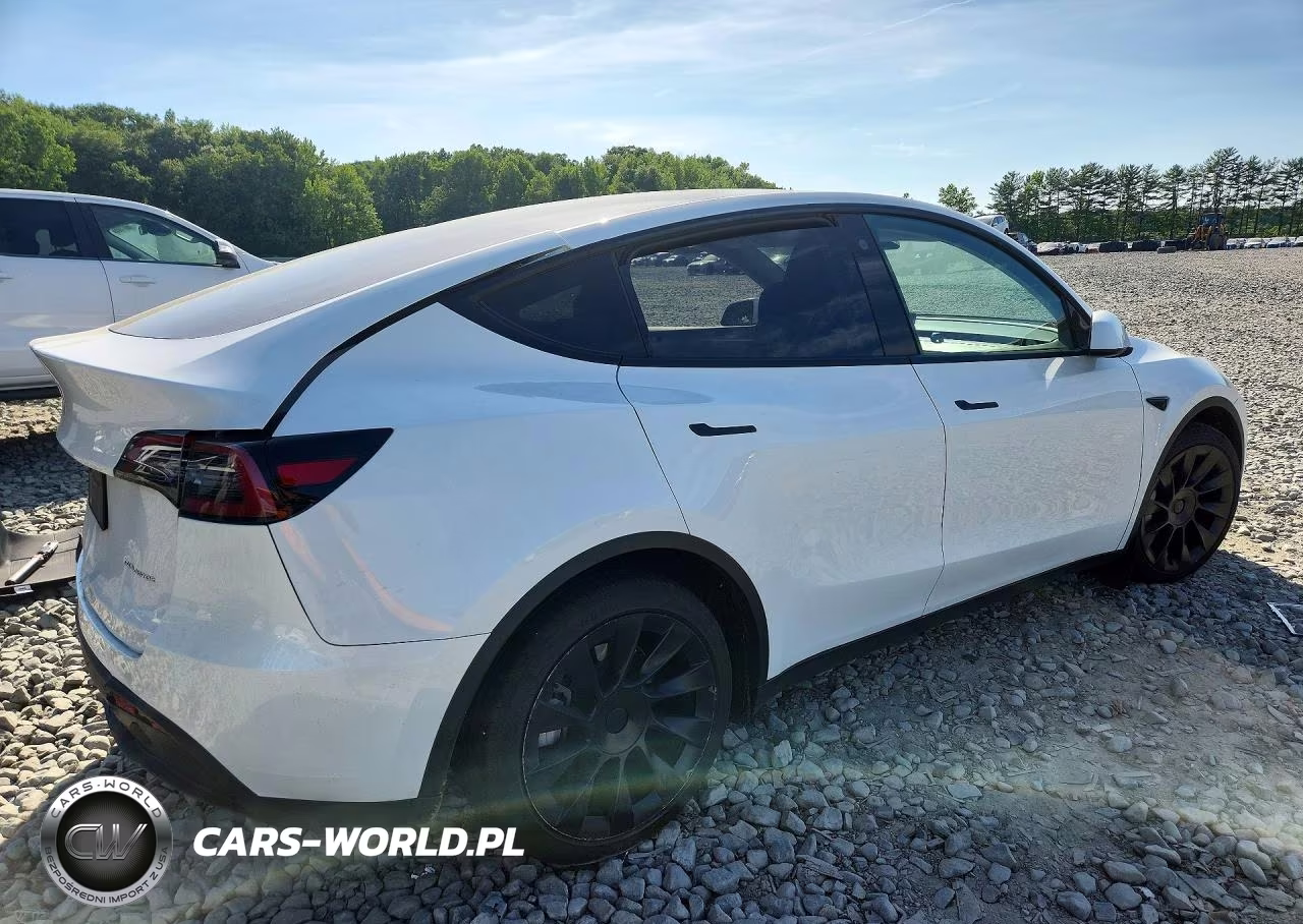 2023 Tesla Model Y VIN:7SAYGAEE7PF742600 - 3