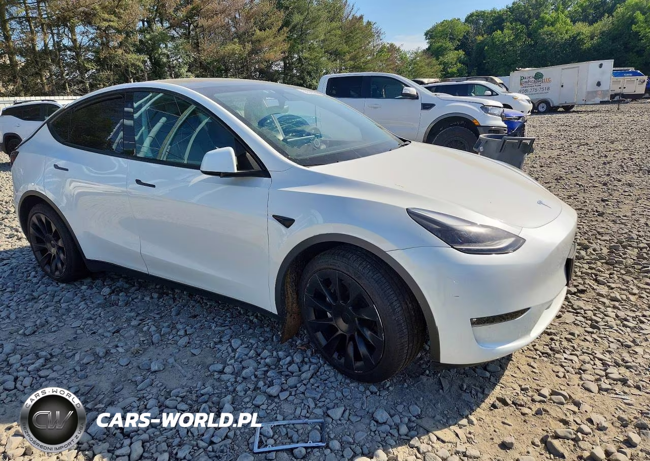 2023 Tesla Model Y VIN:7SAYGAEE7PF742600 - 4