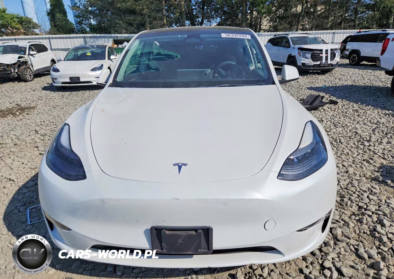 2023 Tesla Model Y VIN:7SAYGAEE7PF742600 - 5