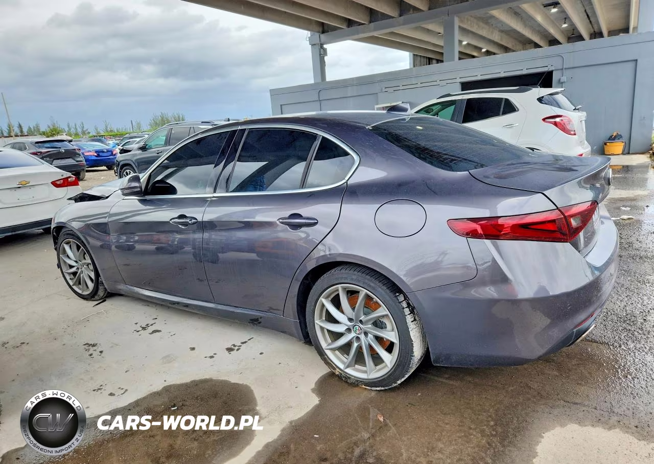 2019 Alfa Romeo Giulia VIN:ZARFAMANXK7599319 - 2