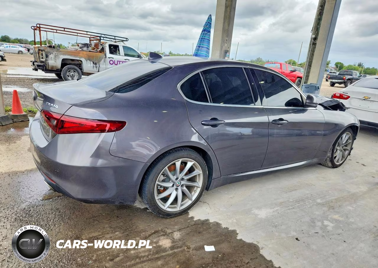 2019 Alfa Romeo Giulia VIN:ZARFAMANXK7599319 - 3