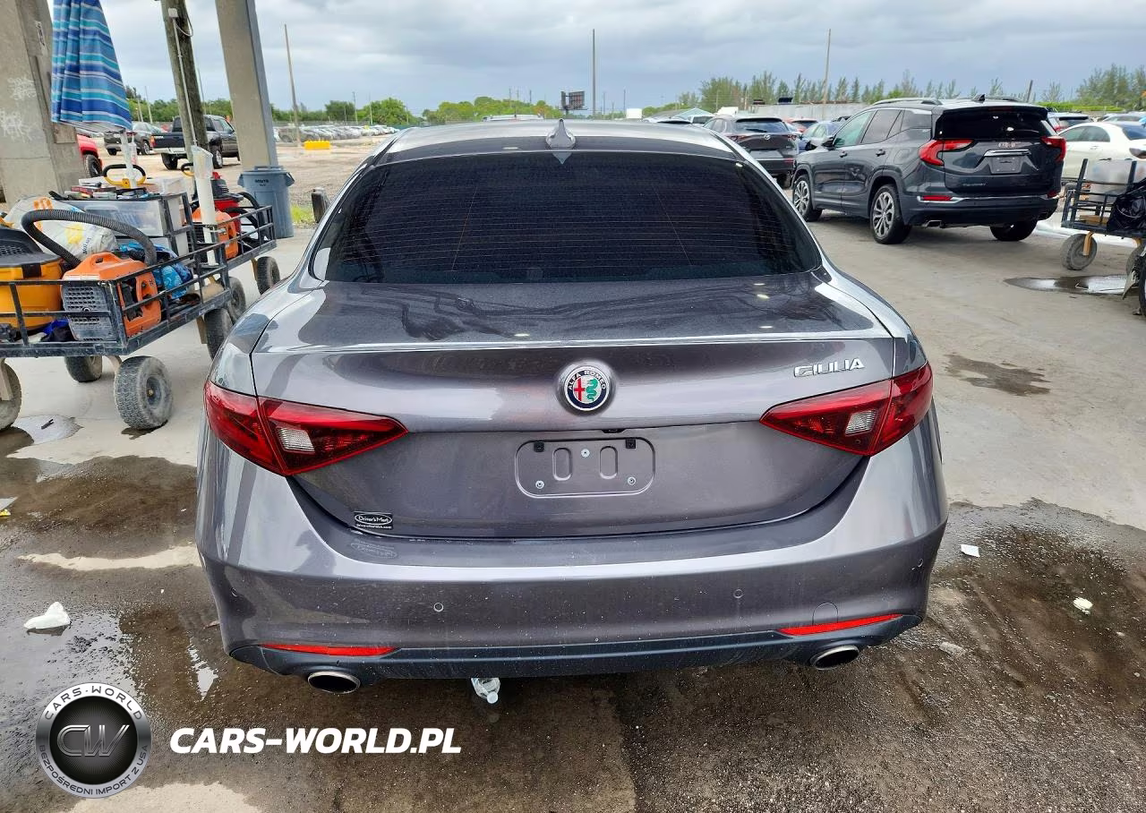 2019 Alfa Romeo Giulia VIN:ZARFAMANXK7599319 - 6